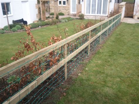 How a Magic Fence Can Help Prevent Dog-Related Accidents and Incidents